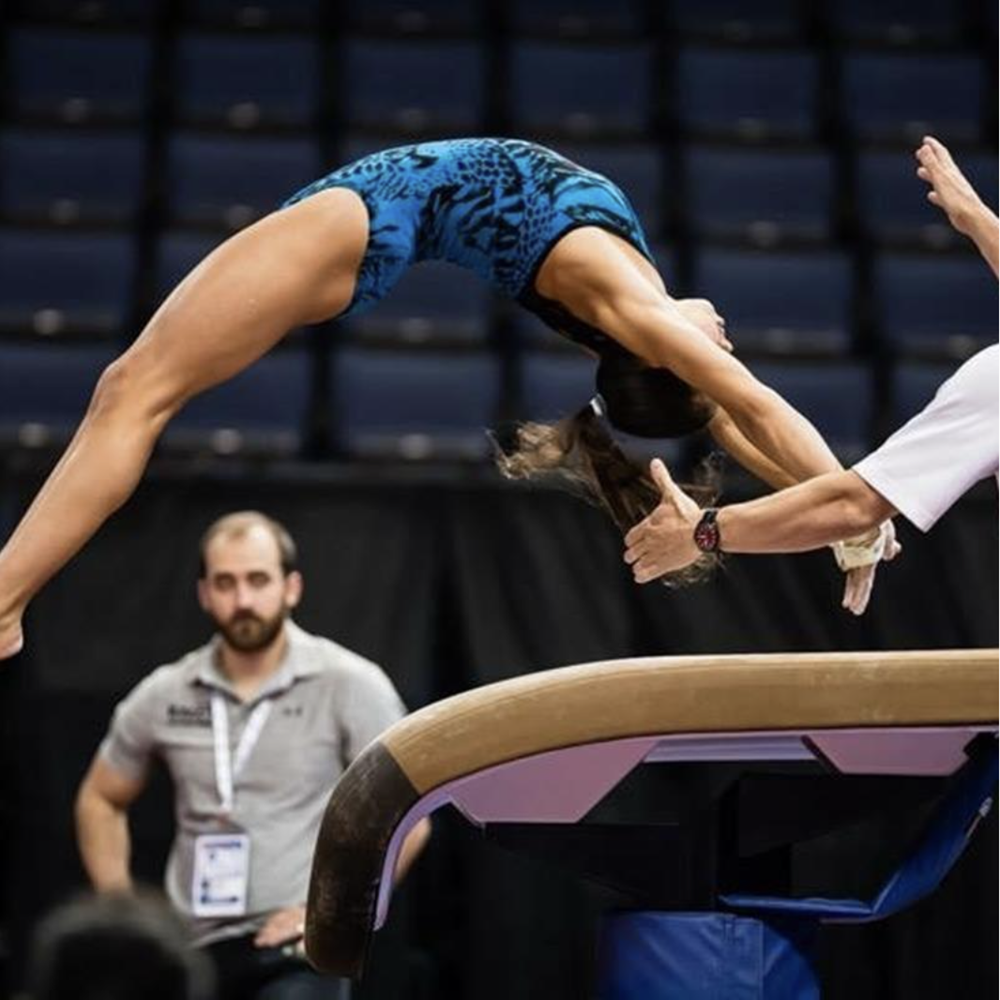 12-Session Mentorship Program (60 minutes per session)